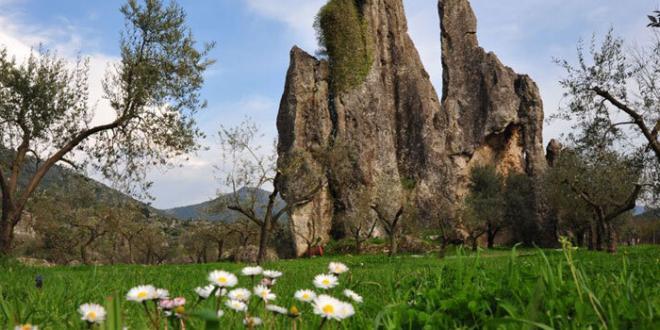 parco-ausoni