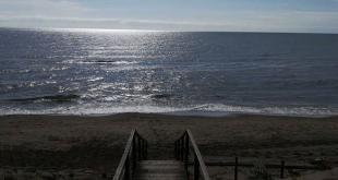 sabaudia-mare