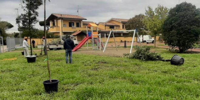 pomezia
