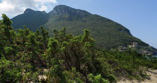 monte circeo