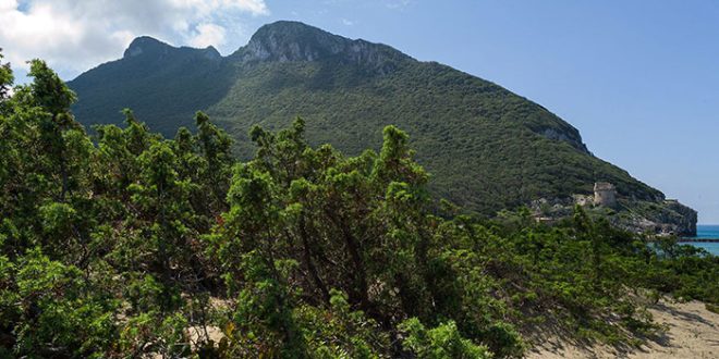 monte circeo