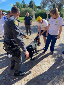 campus fiamme gialle - cane cinofilo