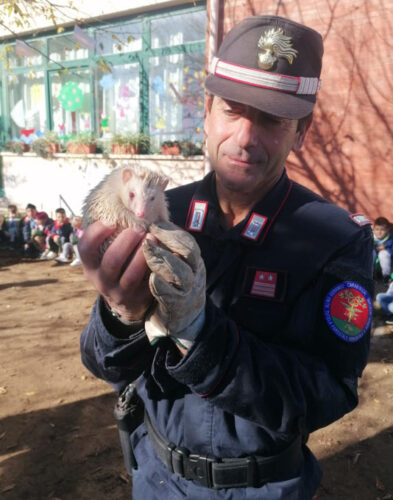 Carabiniere forestale