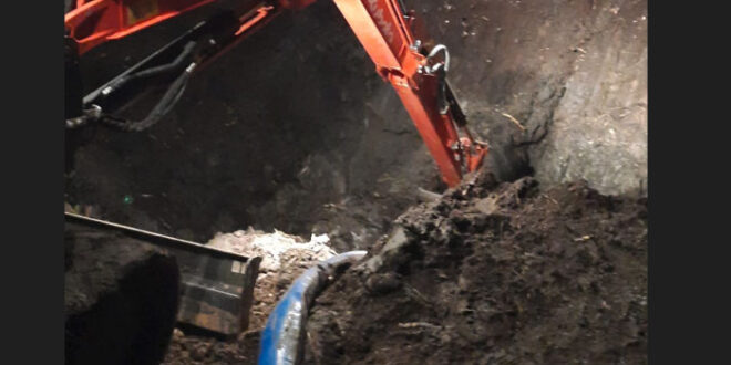 acqaulatina sardellane lavori