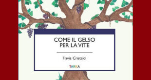 come il gelso delle vite Flavia Cristaldi