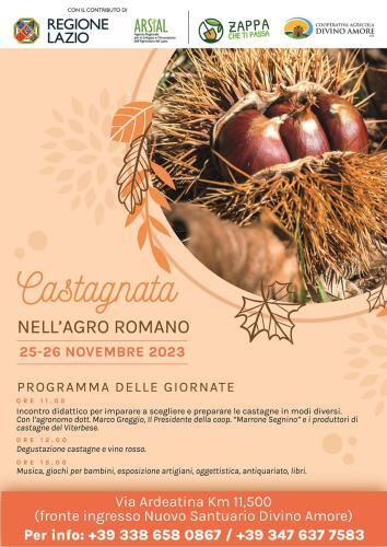 locandina castagne