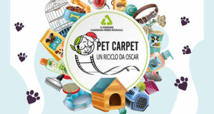 Pet Carpet: Un Riciclo da Oscar