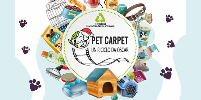 Pet Carpet: Un Riciclo da Oscar