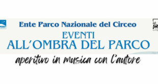 ombra nel parco