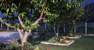 giardino montessori