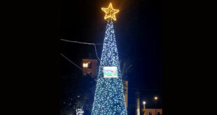 Pedagnalonga albero di Natale Borgo Hermada