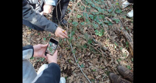 BIOBLITZ nel Parco Nazionale del Circeo