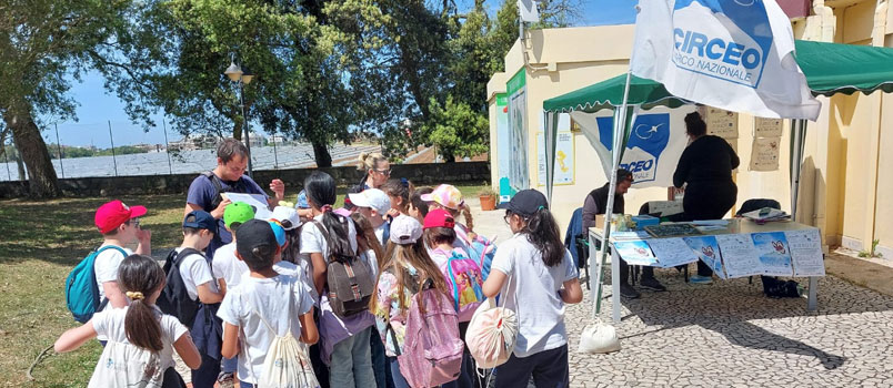 bambini bioblitz