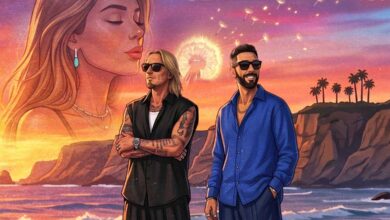 gemelli diversi - desiderio